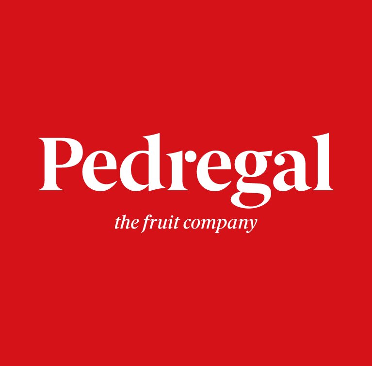 Logo de Pedregal